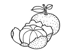 ���_Ƥ�����Ӻ��P���DƬ